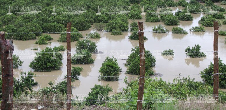 Afectaciones por la lluvia en Papantla 