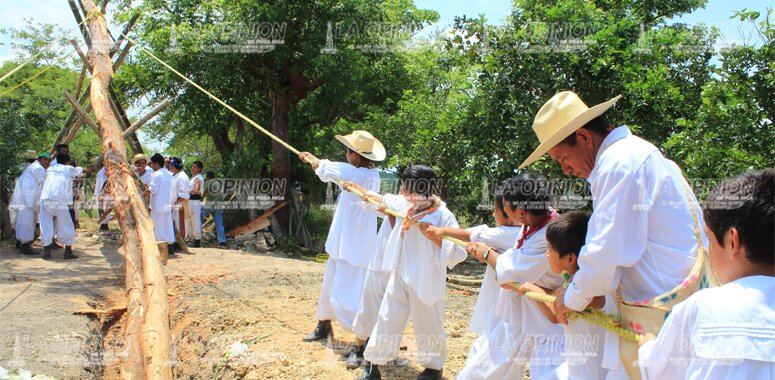 Ritual de corte del palo volador, tradición milenaria